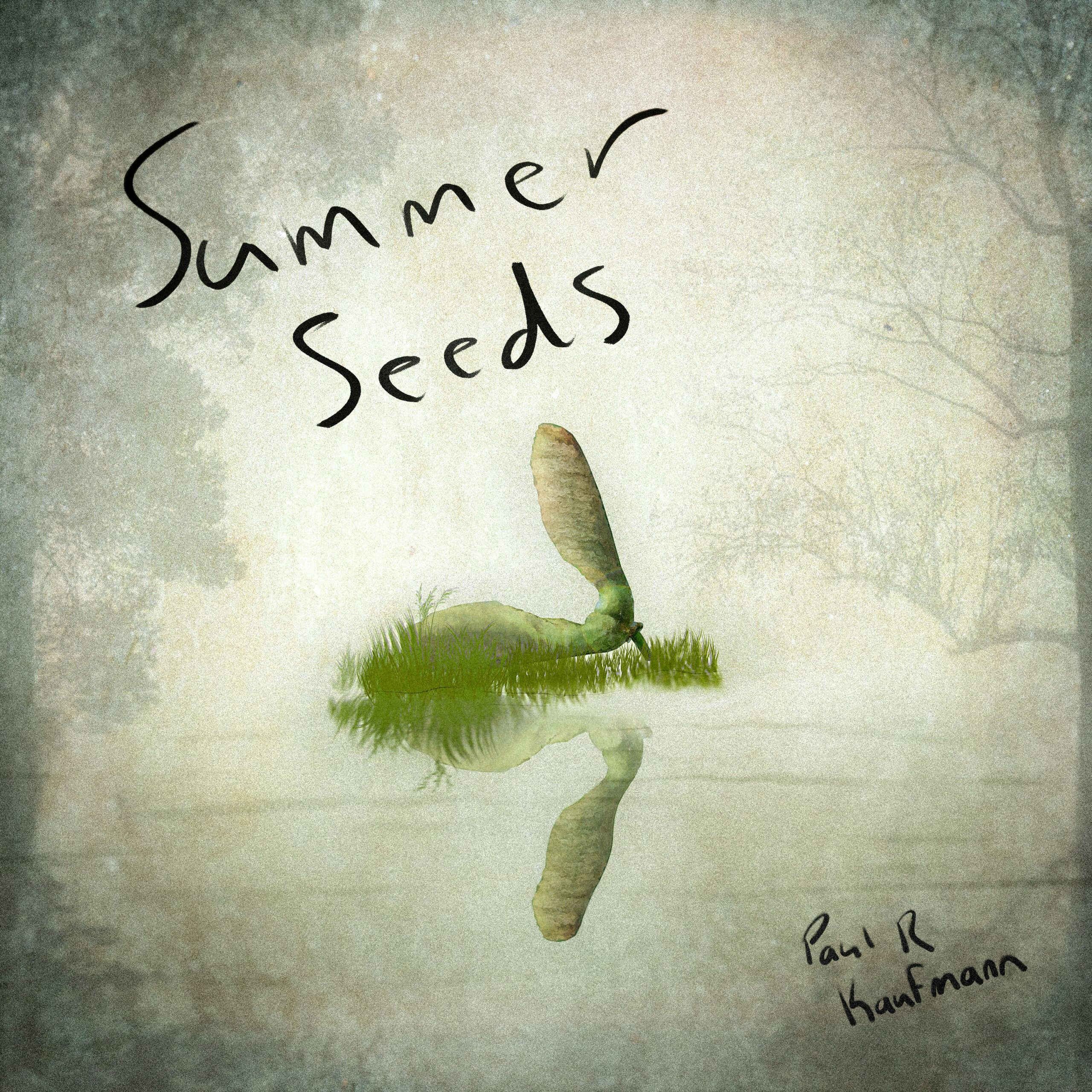 Album art for Summer Seeds